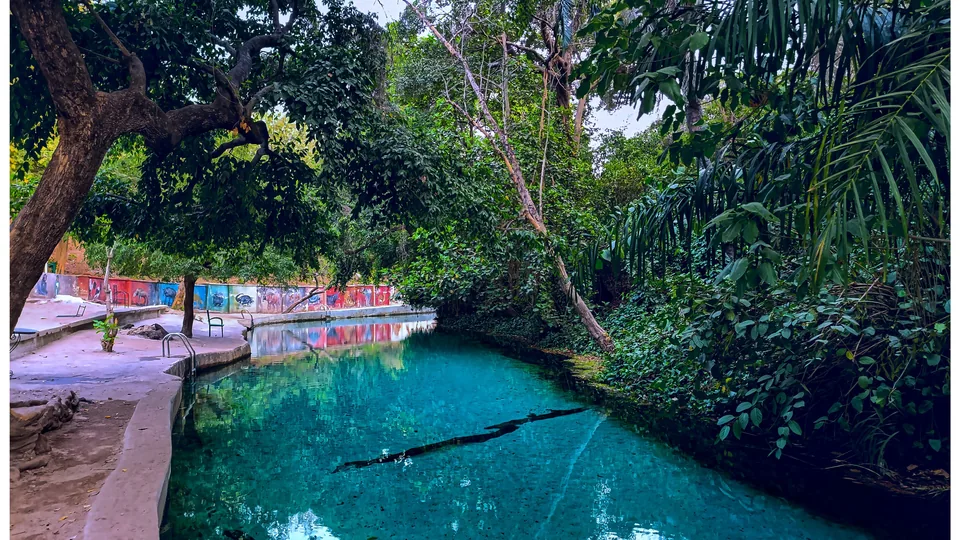 Wikki Warm Springs, Yankari National Park