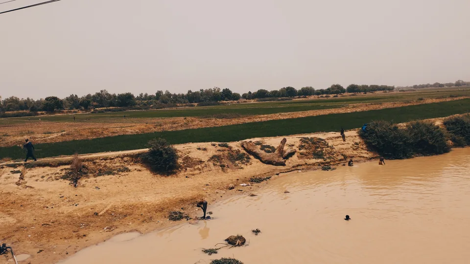 Farming along the Hadejia River
