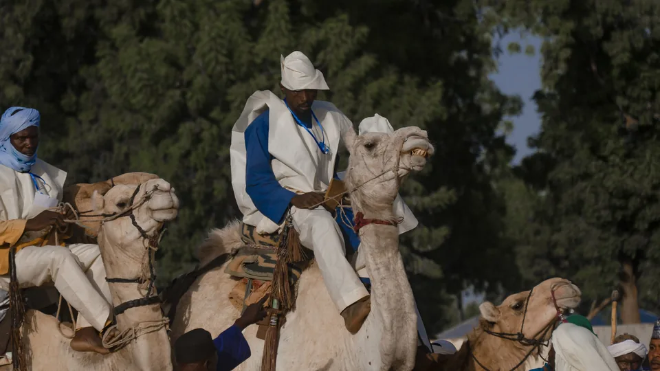 Camel riders at the Argungu Fishing and Cultural Festival