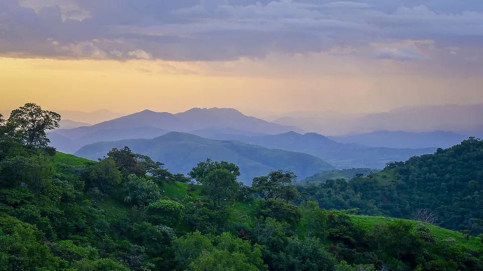 Gashaka-Gumti National Park