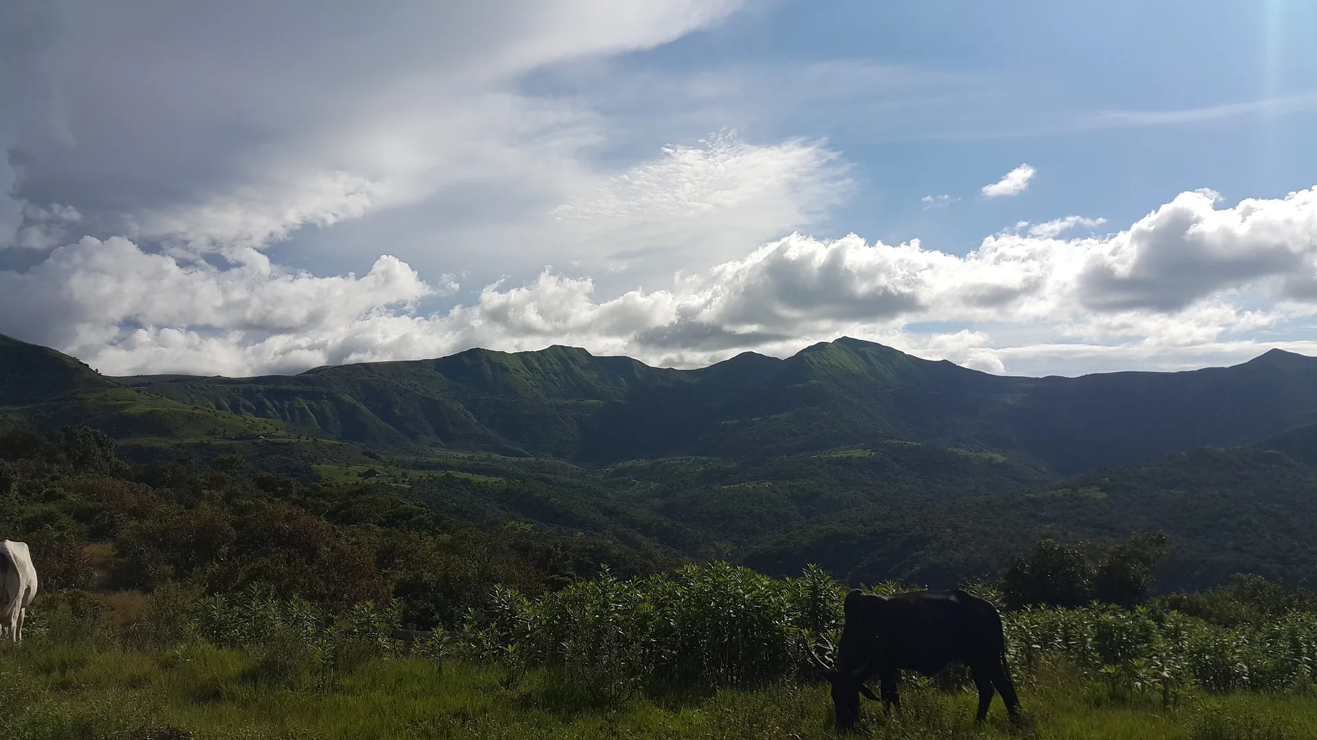 Mountain ranges of the Mambilla Plateau, Mai Samari axis