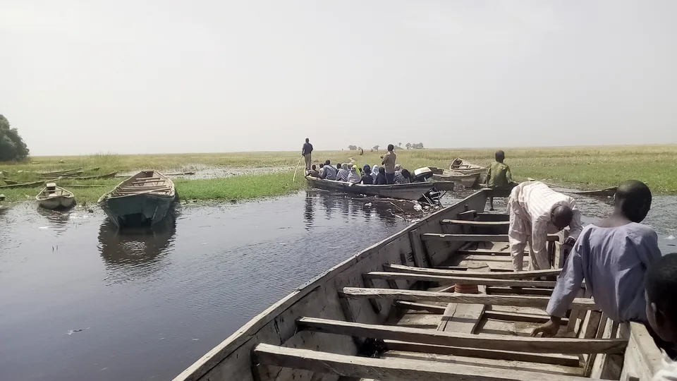 Canoes on the river at Nguru, Hadejia-Nguru wetlands
